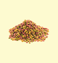  Dog Food