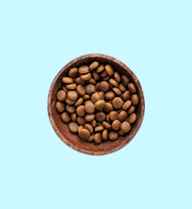 Chicken Food