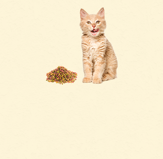 Tasty & Healthy Pet Food 