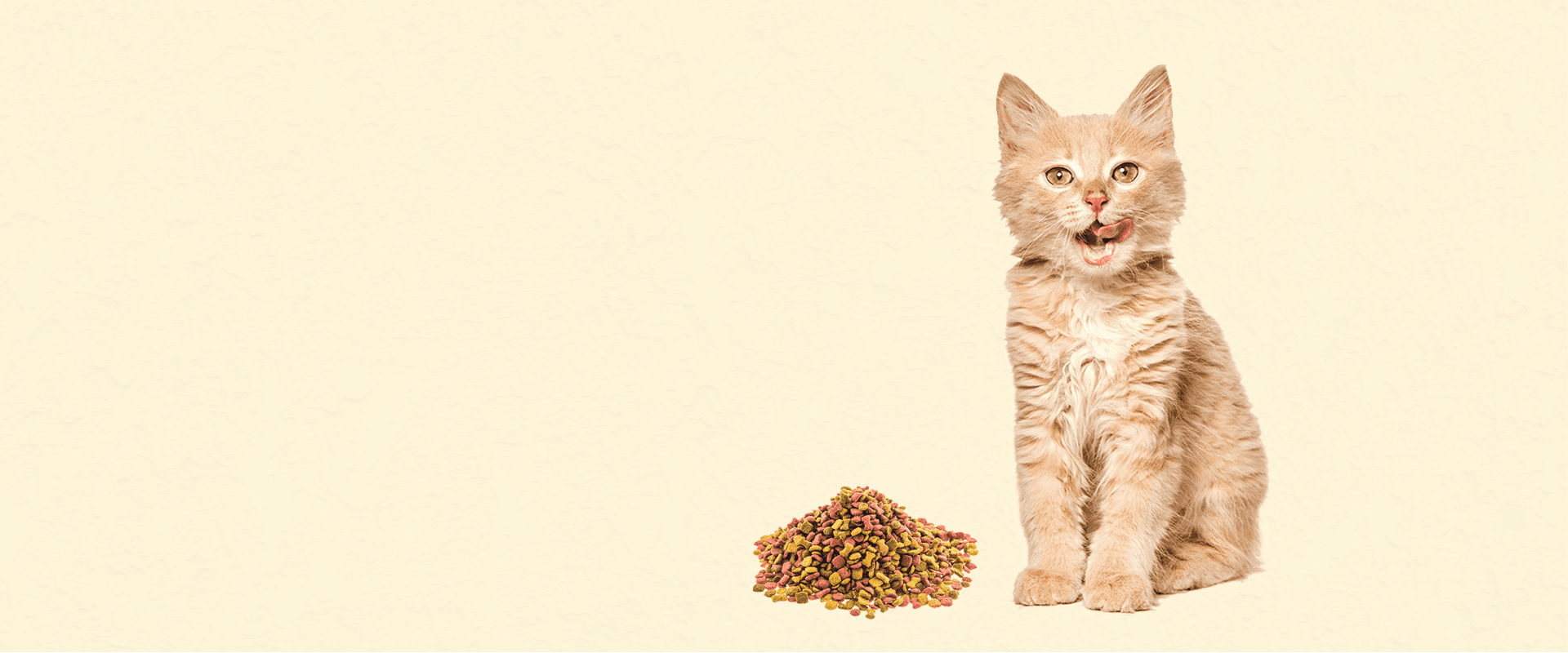Tasty & Healthy Pet Food 
